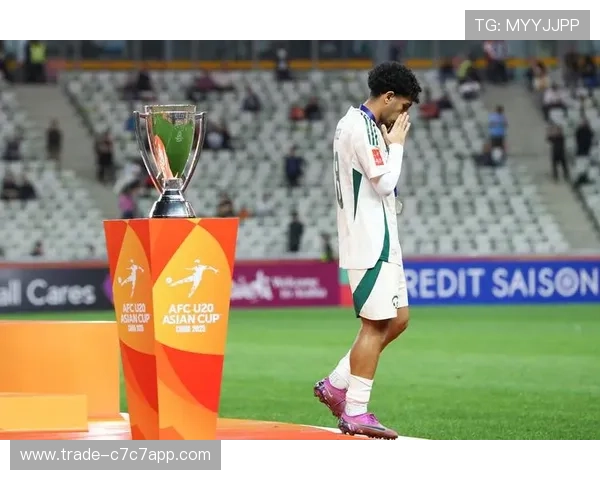 澳大利亚联邦足球队4号球星介绍及其在国际赛场的表现分析